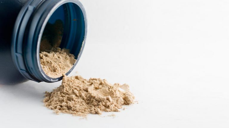 protein powder main