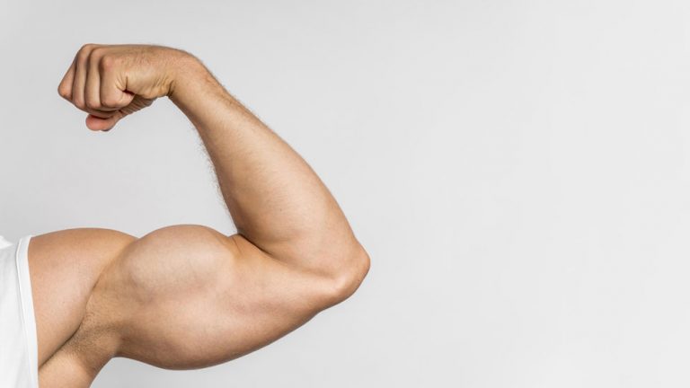 muscle header