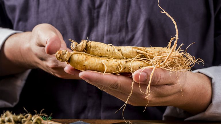 ginseng